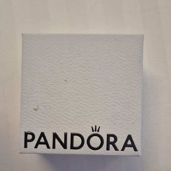Pandora 50th Celebration Silver Charm with Clear Accents - Picture 2 of 16